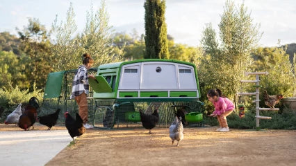 Omlet Eglu Cube Chicken Coop (Up to 6 Large Hens) — Easy-Clean, Predator-Proof, All-Weather