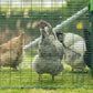 Omelet Eglu Pro Chicken Coop