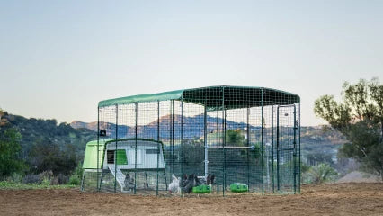 Omelet Eglu Pro Chicken Coop