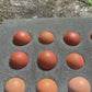 Fertilized Black Copper Marans Hatching Eggs – Deep Chocolate Egg Layers
