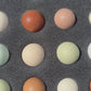 Barnyard Surprise Mix — Fertilized Hatching Eggs (Rainbow Flock Variety)
