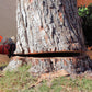 Free Estimate